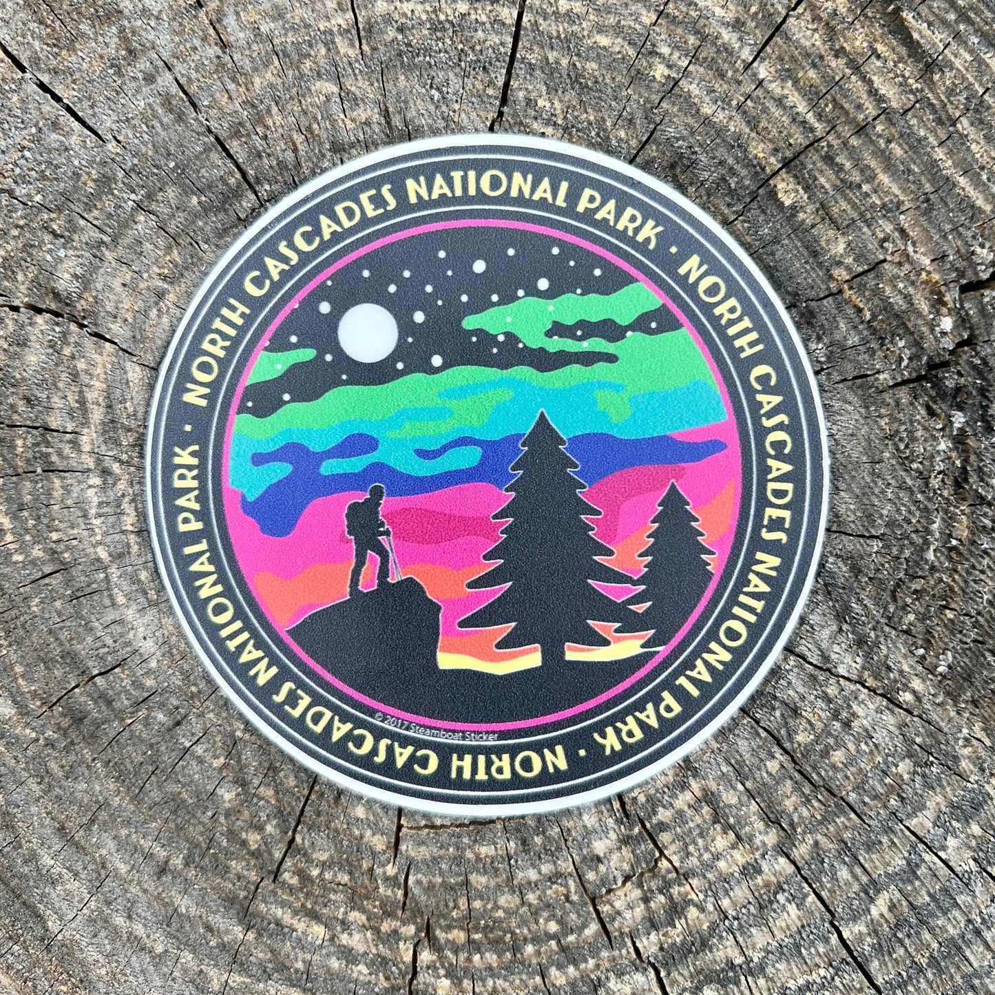 Hiker North Cascades