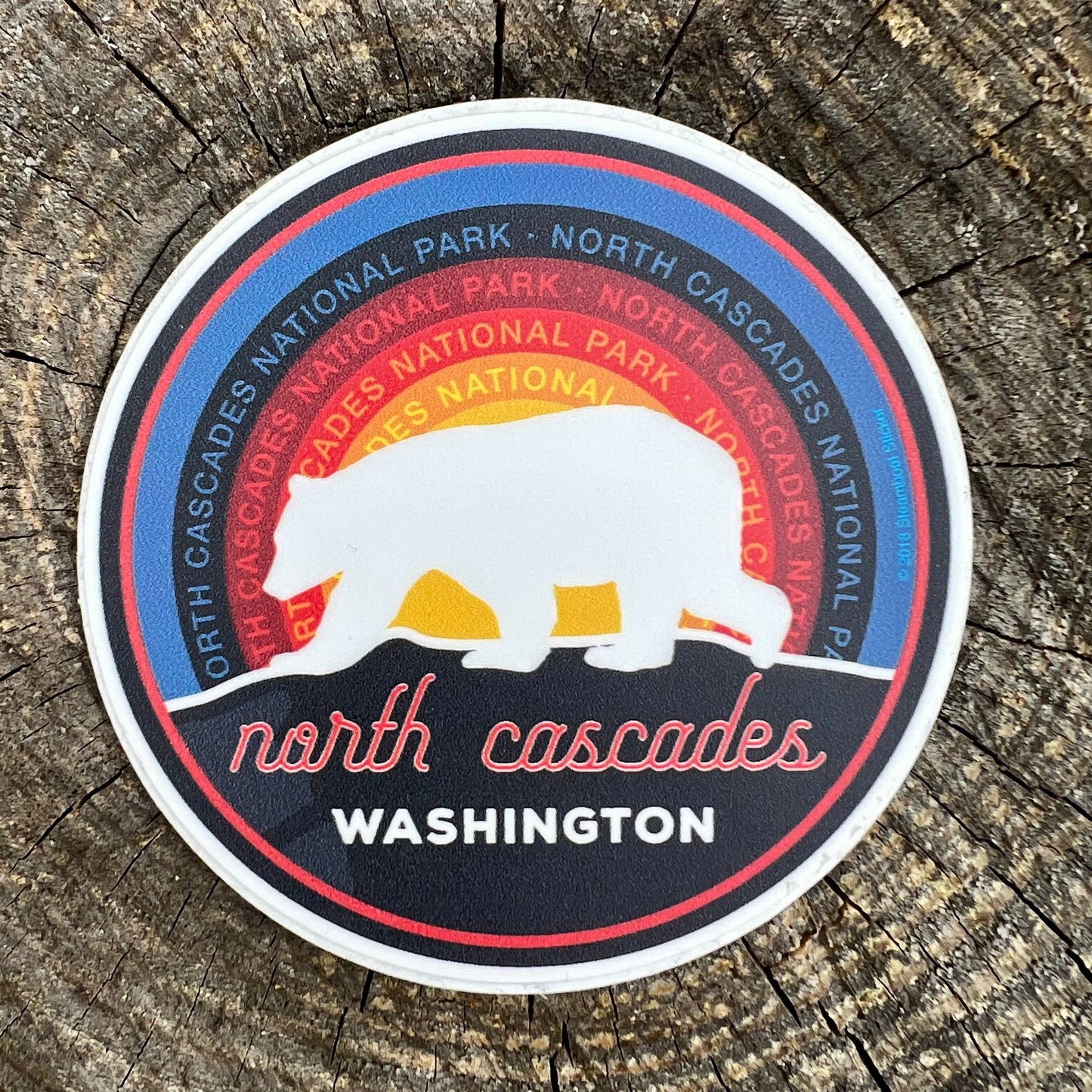 Bear North Cascades