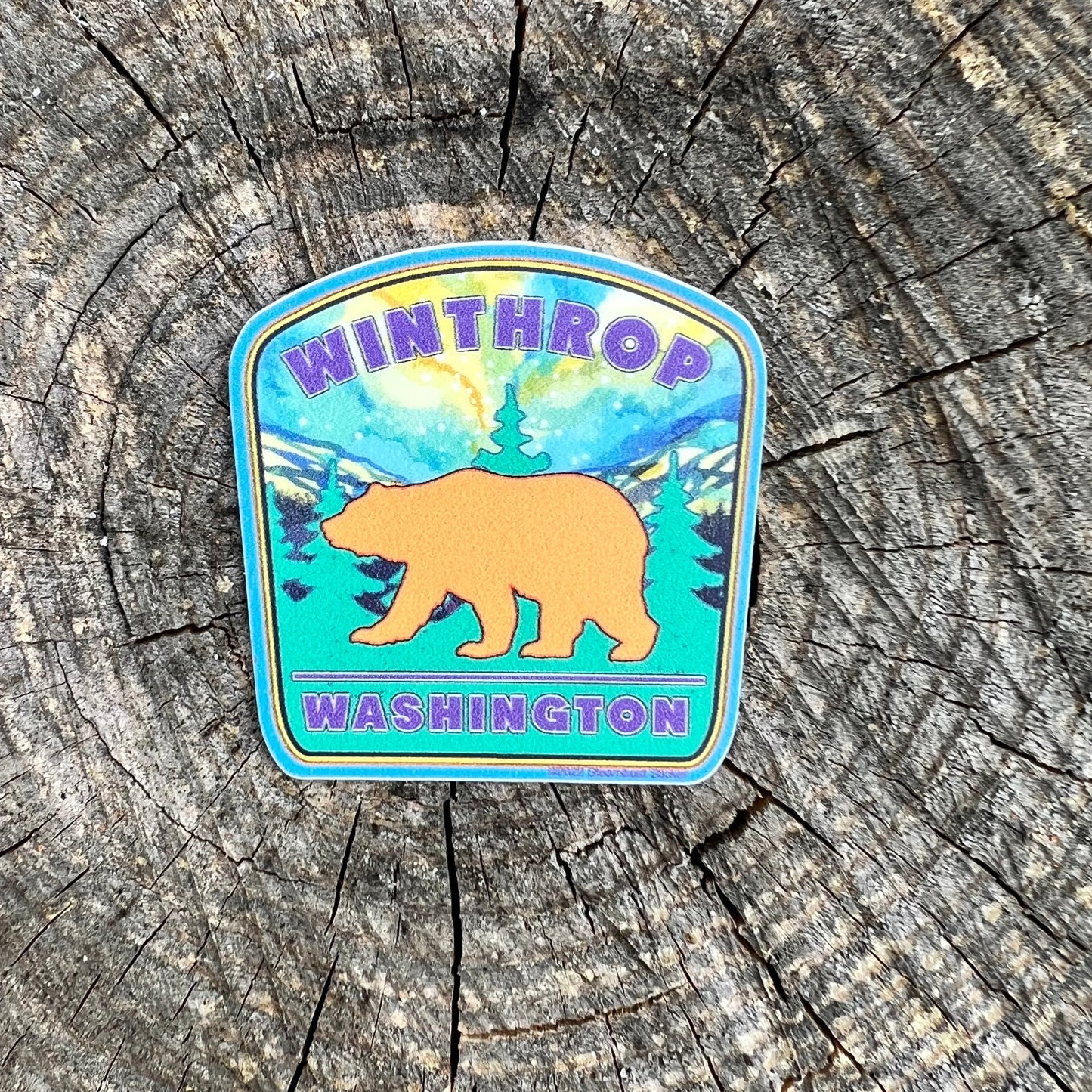 Colorful Bear