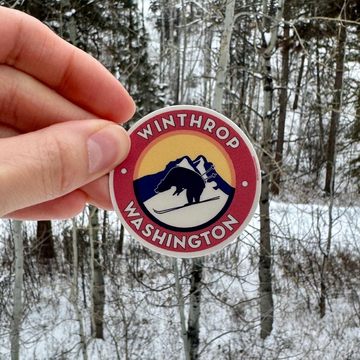 Skiing Bear Sticker