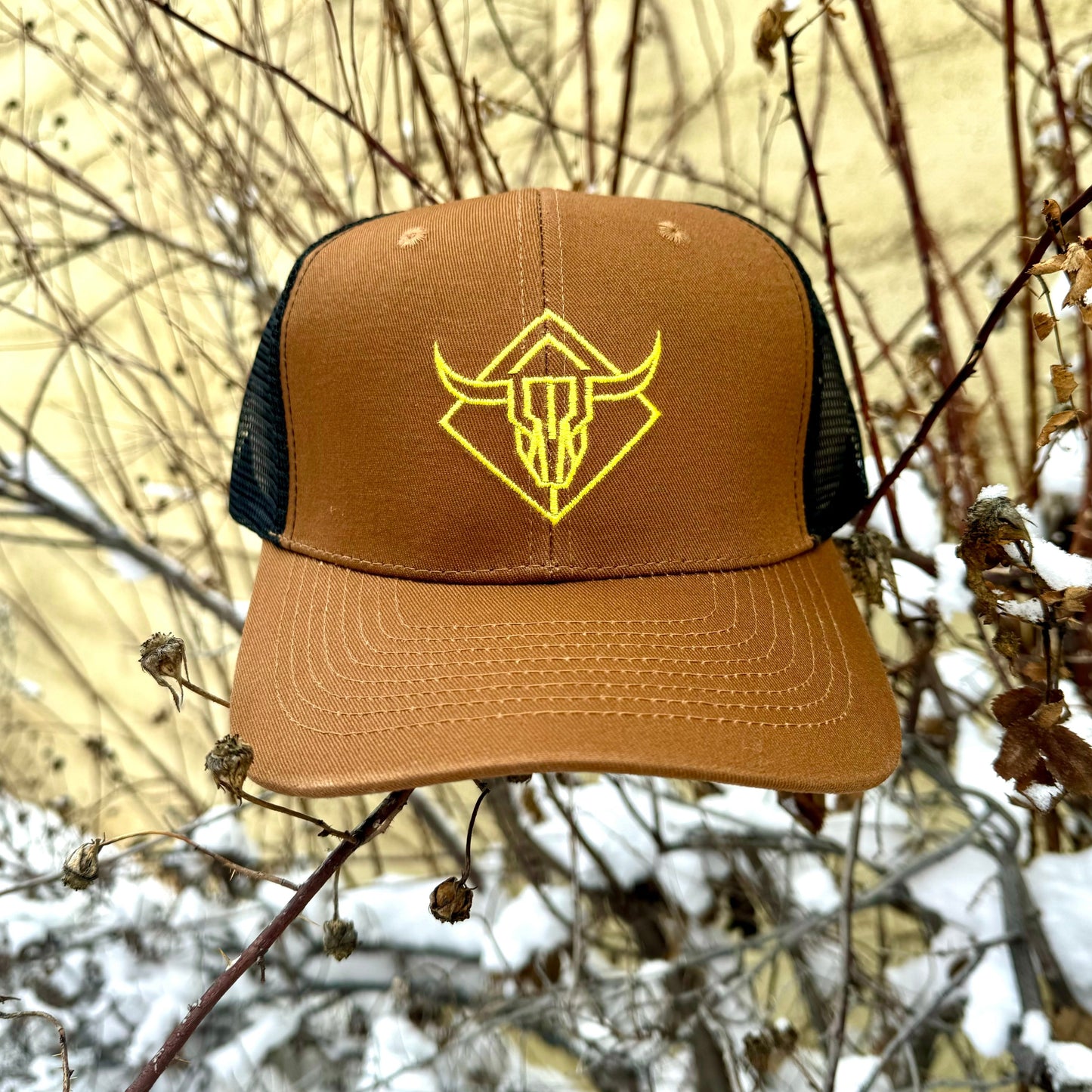 Yoke and Crown Baseball Cap
