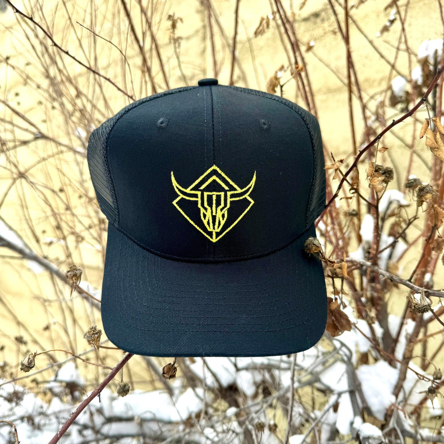 Yoke and Crown Baseball Cap