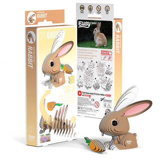 3D Rabbit
