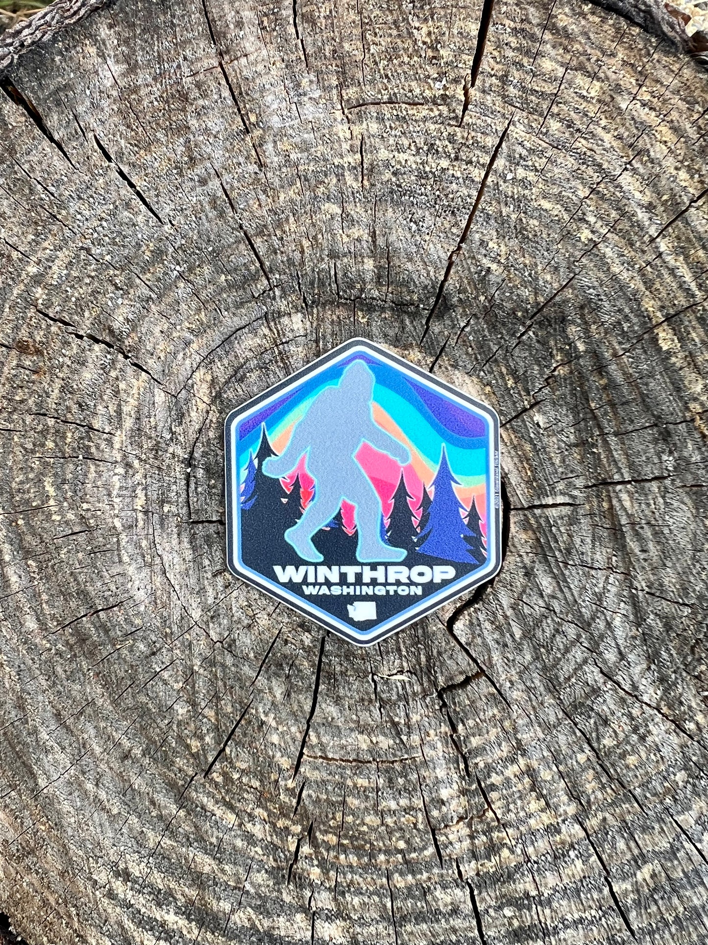 Bigfoot Winthrop