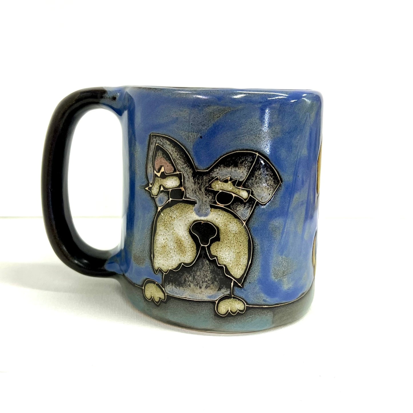 Blaze Puppy Eyes Mug 16oz