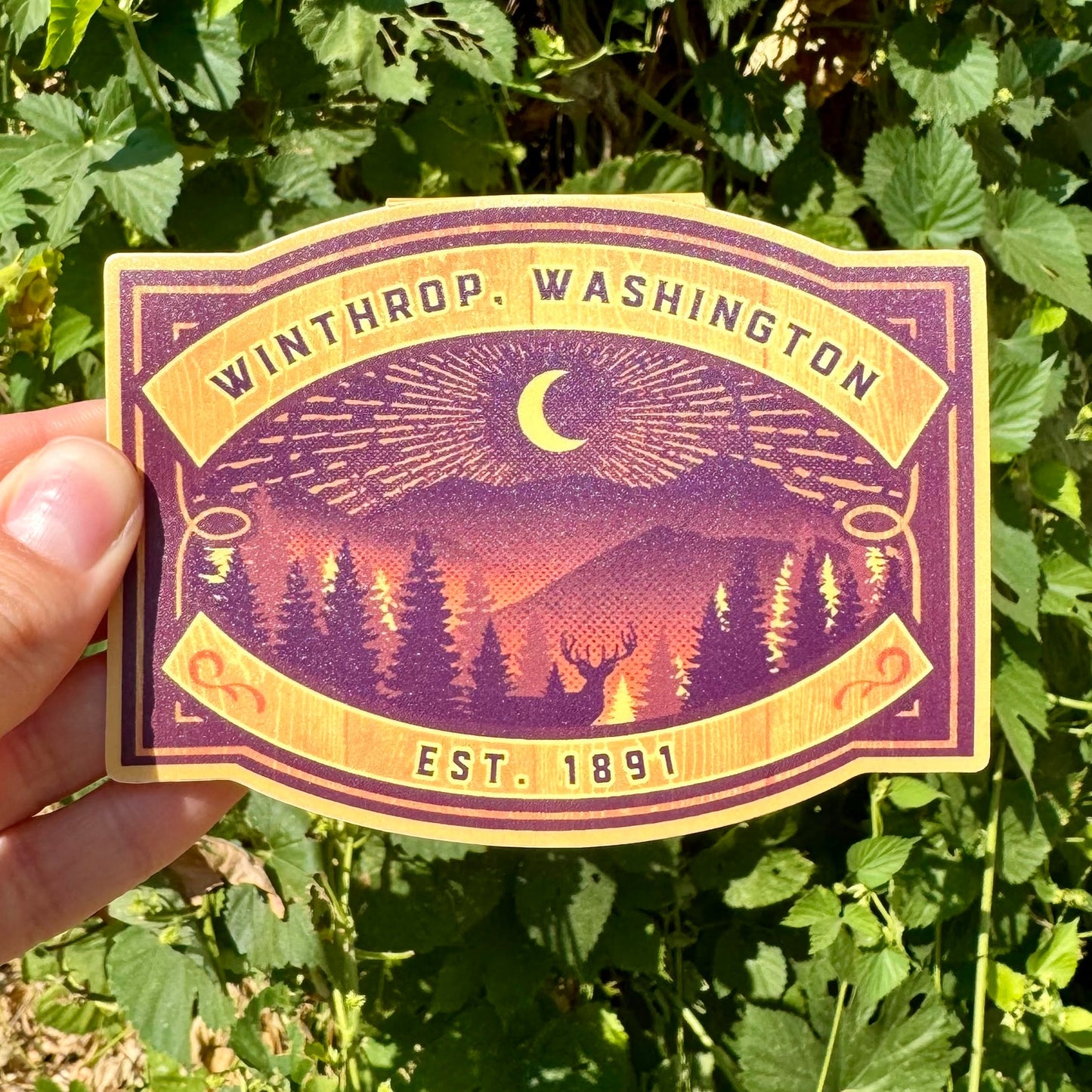 Winthrop Deer Nightview Sticker