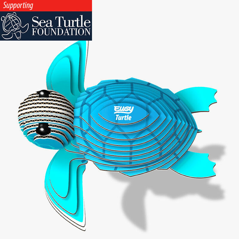 3D Turtle