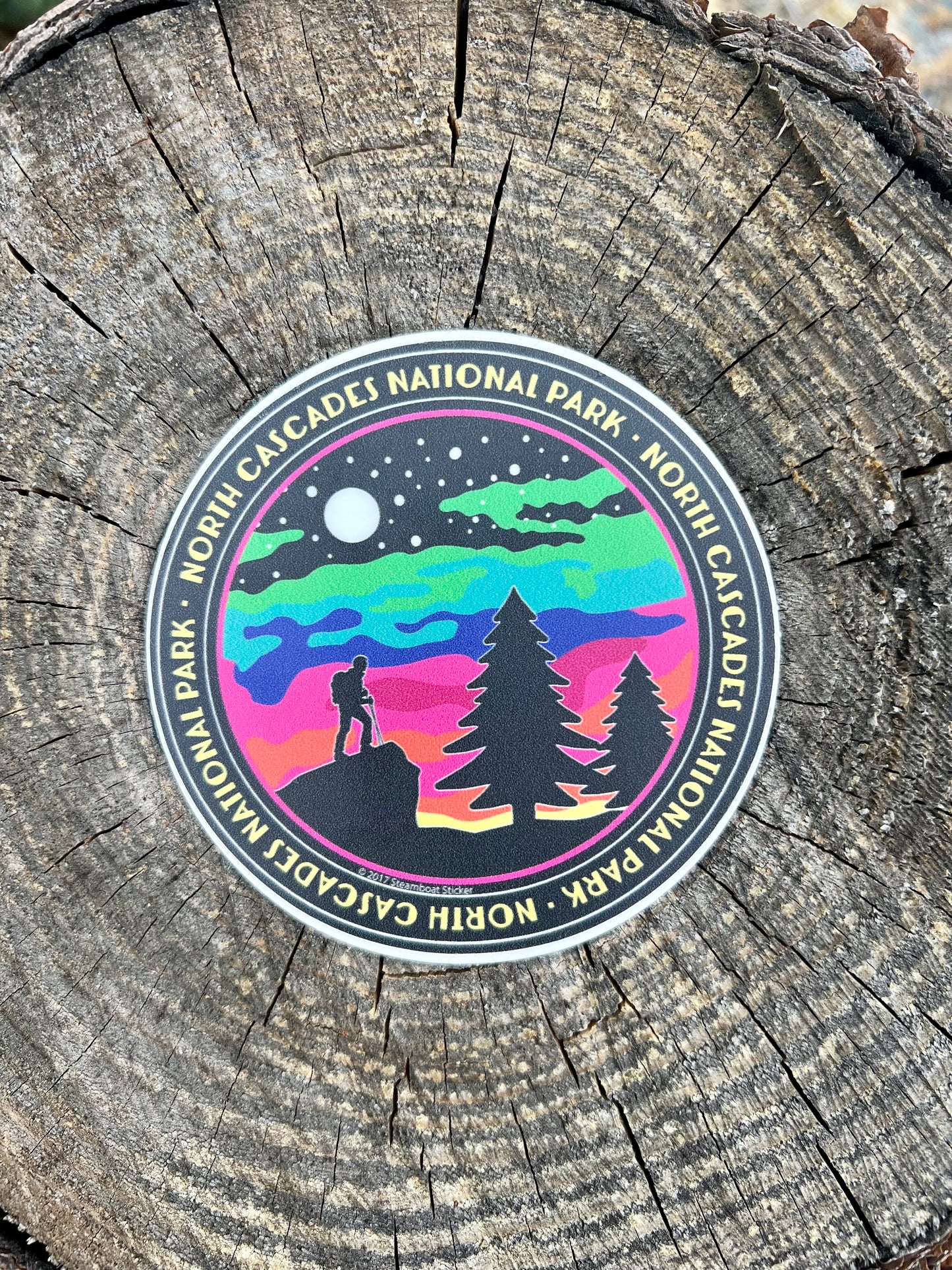 Hiker North Cascades